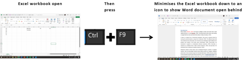 Excel shortcuts part 5: Ctrl+F9 - to minimise workbook screenshot