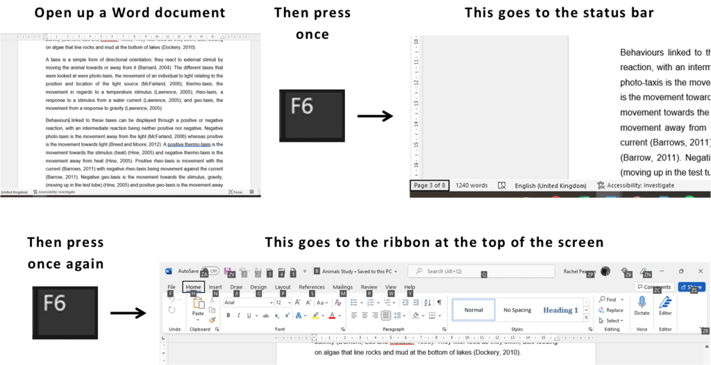 Word Shortcuts part 5: F6 function key to switch between document, status bar and ribbon
