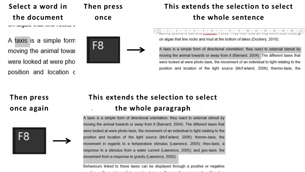 Word Shortcuts part 5: F8 function key to extend selection