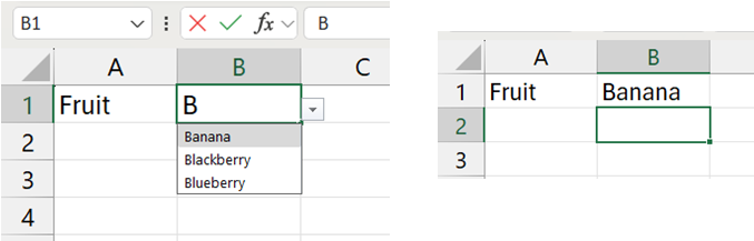 Autocomplete Data Validation in Excel: example of the autocomplete update in practice
