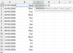 WEEKDAY function in Excel - WEEKDAY function screenshot